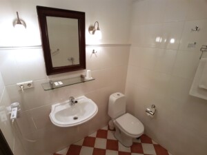 16ist_wc2